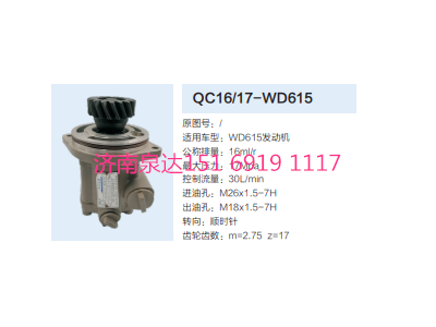 QC16/17-WD615,動(dòng)力轉(zhuǎn)向齒輪泵,濟(jì)南泉達(dá)汽配有限公司