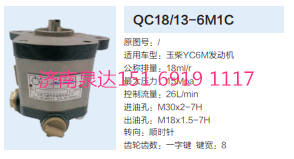 QC18/13-6M1C,動(dòng)力轉(zhuǎn)向齒輪泵,濟(jì)南泉達(dá)汽配有限公司