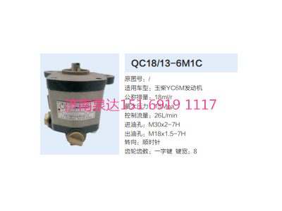 QC18/13-6M1C,動(dòng)力轉(zhuǎn)向齒輪泵,濟(jì)南泉達(dá)汽配有限公司