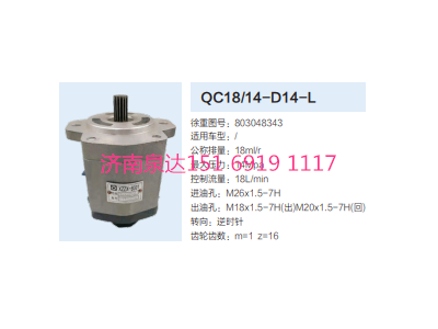 QC18/14-D14L,動力轉(zhuǎn)向齒輪泵,濟南泉達汽配有限公司