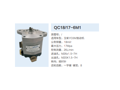 QC18/17-6M1,動(dòng)力轉(zhuǎn)向齒輪泵,濟(jì)南泉達(dá)汽配有限公司