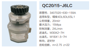 QC20/15-L6LC,動(dòng)力轉(zhuǎn)向齒輪泵,濟(jì)南泉達(dá)汽配有限公司