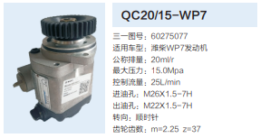 QC20/15-WP7,動(dòng)力轉(zhuǎn)向齒輪泵,濟(jì)南泉達(dá)汽配有限公司