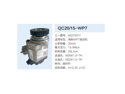 QC20/15-WP7,動(dòng)力轉(zhuǎn)向齒輪泵,濟(jì)南泉達(dá)汽配有限公司