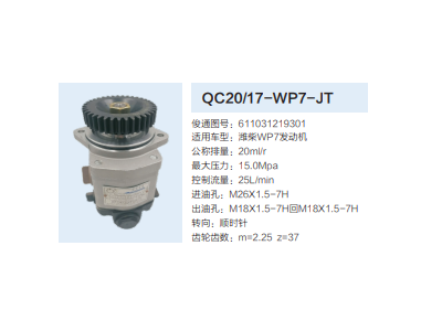 QC20/17-WP7-JT,齒輪泵,濟(jì)南泉達(dá)汽配有限公司