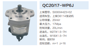 QC20/17-WP6J,齒輪泵,濟(jì)南泉達(dá)汽配有限公司