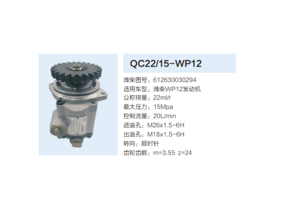 QC22/15-WP12,轉(zhuǎn)向助力泵,濟(jì)南泉達(dá)汽配有限公司