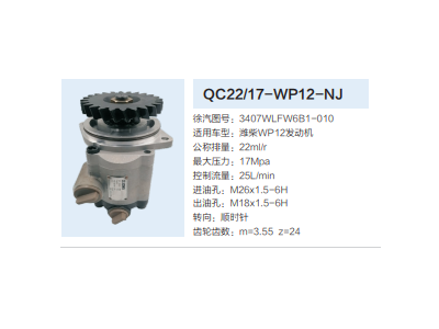 QC22/17-WP12-NJ,轉(zhuǎn)向助力泵,濟(jì)南泉達(dá)汽配有限公司