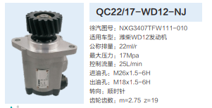 QC22/17-WD12-NJ,轉向助力泵,濟南泉達汽配有限公司