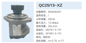 QC25/13-XZ,轉(zhuǎn)向助力泵,濟(jì)南泉達(dá)汽配有限公司