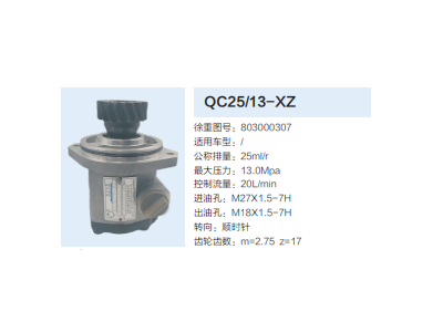 QC25/13-XZ,轉(zhuǎn)向助力泵,濟(jì)南泉達(dá)汽配有限公司