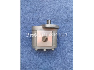 QC20/16-226BRD,轉(zhuǎn)向助力泵,濟(jì)南泉達(dá)汽配有限公司