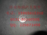 WG4005415316,主銷蓋,濟南海納汽配有限公司