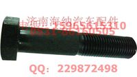 無,Q151B24115TF2，外六角螺栓M24X115，產(chǎn)地陜西西安,濟南海納汽配有限公司