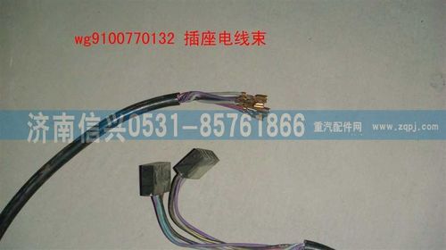 WG9100770132,插座電線束,濟(jì)南信興汽車配件貿(mào)易有限公司