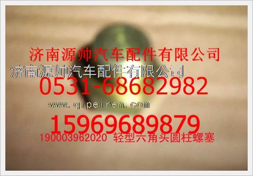 190003962020,重汽豪沃輕型六角頭園柱螺塞190003962020,濟(jì)南源帥汽車配件有限公司