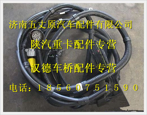 陜汽德龍發(fā)動(dòng)機(jī)底盤電線束/DZ93189774561