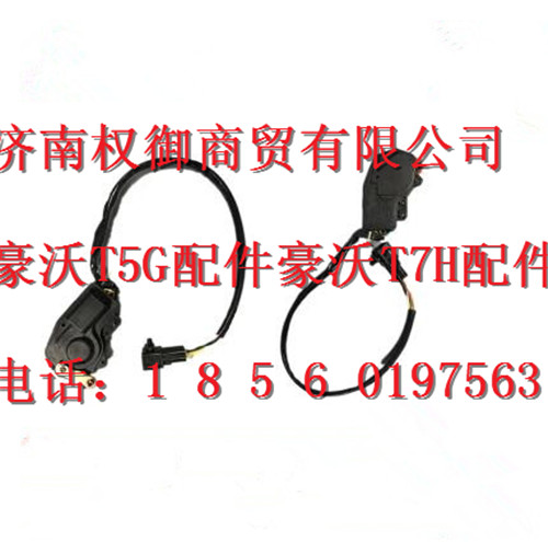 LG1611342003+005,重汽新斯太爾左右儀表面罩組件WG1682167010WG1682167296,濟南權(quán)御進出口有限公司