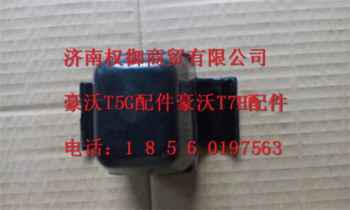 9925520619,重汽新斯太爾左右儀表面罩組件WG1682167010WG1682167248,濟(jì)南權(quán)御進(jìn)出口有限公司