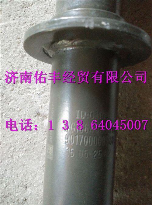 WH1664430310,重汽豪沃T5G駕駛室前懸螺旋彈簧減振器總WH1664430310,濟(jì)南佑豐經(jīng)貿(mào)有限公司（原鎬煜）