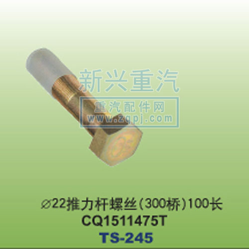 CQ1511475T,￠22推力桿螺絲300橋100長CQ1511475T,晉江新興螺絲有限公司